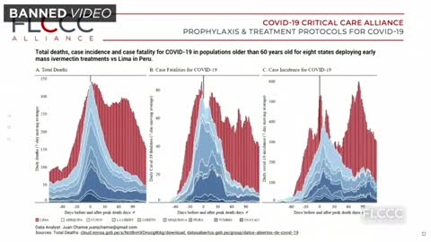 Banned On YouTube - Senate Hearing On Ivermectin Being A Miricle Cure For Covid 19