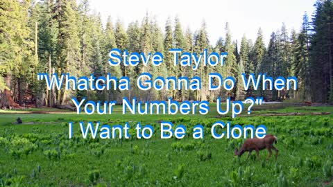 Steve Taylor - I Want to Be a Clone #133