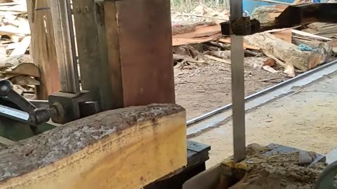 Nempel Flower Parasite Wood Processing Worth Millions Of Rupiah In Chainsaw Saw Mill