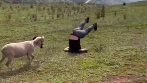 #funny viral entertainment video
