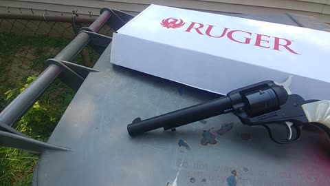 RUGER WRANGLER 6.5 INCH