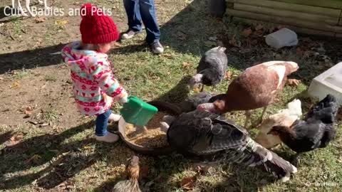 Video of Funniest Moments Baby Meet Animals 🐠🕊 Cute Babies and Pets Cute Babies and Pets TV
