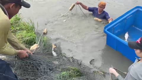 First Time Girl Cast Net Fishing DEFEATED By MONSTER Fish!-17