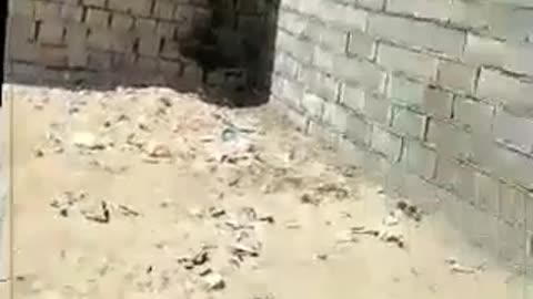 Iran: Authorities destroy make-shift homes of the poor