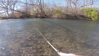 Bald Eagle creek Brownie Bananza