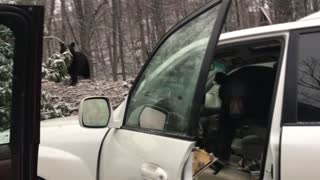 Bear Stuck in a Car