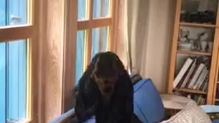 Dog howls every time human plays piano