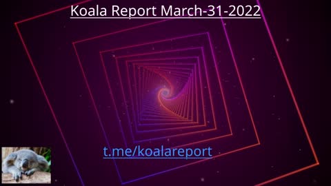 Koala Report March 31st News roundup