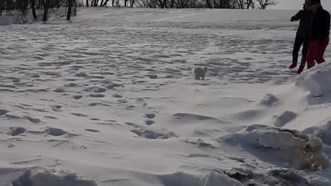 The appearance of snow mountain in Korea