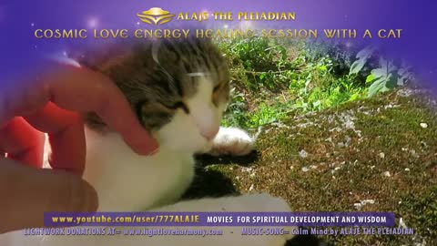 ALAJE THE PLEIADIAN - Cosmic Love Healing Session with a Cat