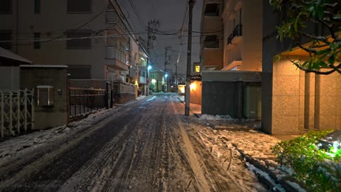 Tokyo Snowflakes Serenade: Night Stroll Shibuya to Shinjuku Winter Sojourn