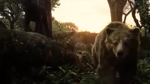 Jungle book super scene