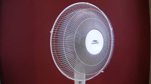 White Noise Oscillating Fan