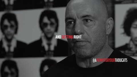 Joe Rogan On Failure