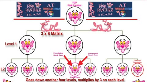 The Pink Panther Team at Rescue Income Detailed Video