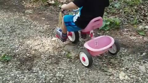 Collab copyright protection - pink tricycle little boy falls over