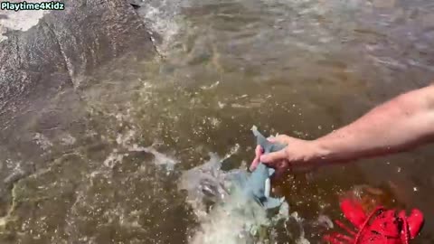 Sea Animal Toys This Summer at the Shore