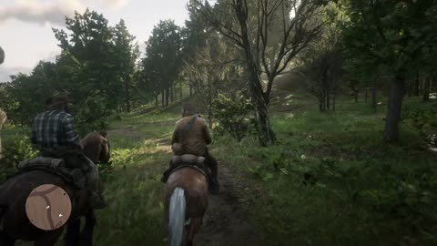 rdr2 walkthrough the delights of van horn mission 1 of 2