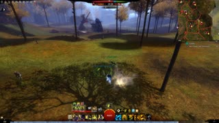 Gw2 - Ranger Juvenile Wolf Pet Location (The Mist)