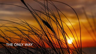 The Way