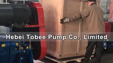 Tobee® 6x4D-AH Slurry Pump