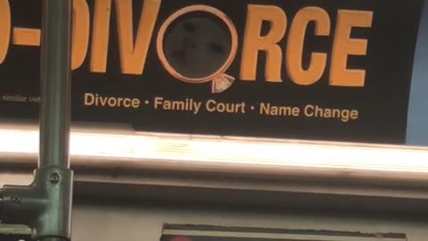 Divorce attorney advertisement has hidden cat