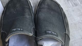 Stinky Shoes? Say Goodbye to Odor with This Simple Dryer Sheet Trick!