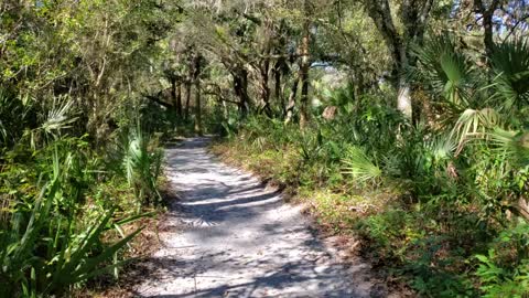 Morning walk in Florida