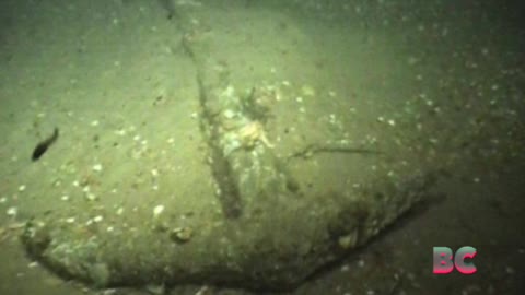 Anchor discovered off the coast of Suffolk may date from Roman times