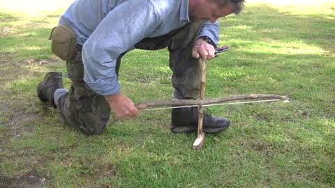 Crack Willow Bow Drill in New Zealand