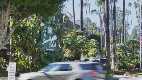 Beverly Hills Uncovered A Local's Guide