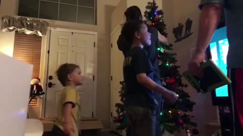 Putting up the Christmas Tree - Timelapse