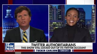 Candace Owens talks about why Elon Musk becoming one of Twitter's largest shareholders is so important