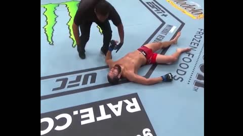 Best Knockouts. MMA,UFC,Knockouts