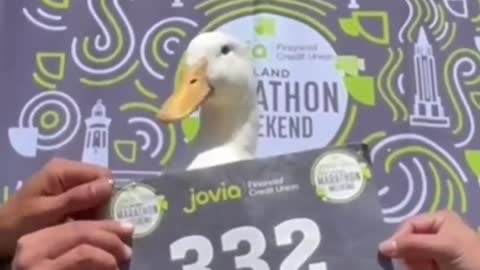 Duck runs in a marathon and get a medal🥇