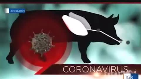TGR Leonardo parla di EVENT201, una simulazione pandemica da coronavirus tenuta nel 2019 a New York