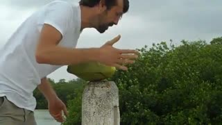 HOW TO OPEN A COCONUT WITH YOUR BARE HANDS - Dec 23rd 2012