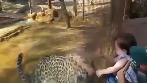 Funny animal scaring people p4