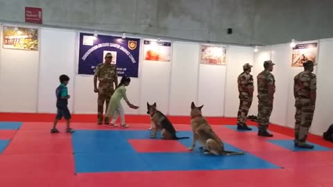 Amazing dog performs CPR squats and CISF demonstration of Dog Squad