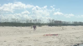 Island Hopping on Cayo Costa State Park, Florida