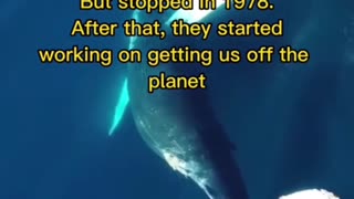 NASA Ocean Conspiracy