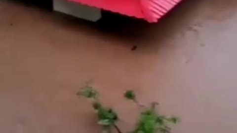 Heavy Rains Cause Floods In #Chiplun #India.mp4