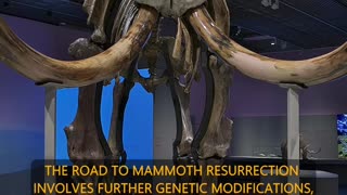 Are Woolly Mammoths Making a Comeback?