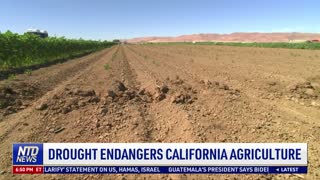 Drought Endangers California Agriculture