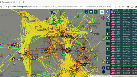 Bird NaziPac Transpac N419PA N417PA N4188T N443PA still gang bangin Feb 14th 2024