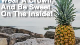 Be A Pineapple