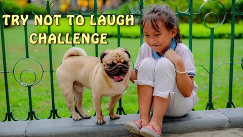 😂The Funniest & Cutest Dogs and kids | plz SUBSCRIBE