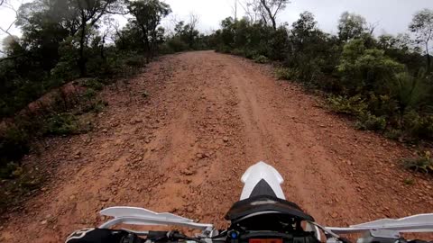 Kangaroo Jumps into Dirt Bike Rider