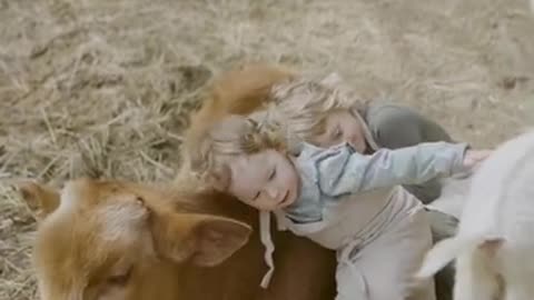 Baby has the sweetest reaction to cow