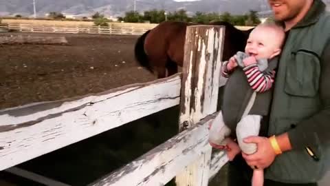 Baby Can't Stop Giggling At A Friendly Horse_1